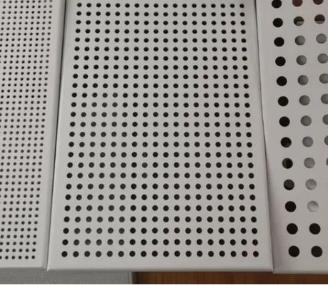 201/304/316L Stainless Steel Aluminum Galvanized Perforated Metal Sheet Mesh Mechanical Filter Screen